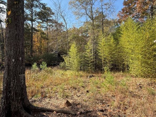 618 S Steel Bridge Road, Eatonton, GA 31024