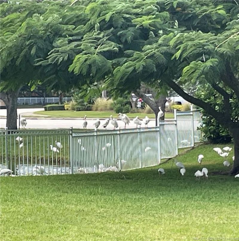 59 SE Palermo Court, Unit 203, Stuart, FL 34994 Photo