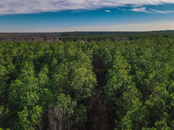 0 Brush Creek Rd, Unit 13, Hohenwald, TN 38462