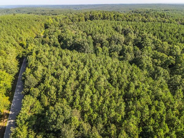 0 Brush Creek Rd, Unit 14, Hohenwald, TN 38462