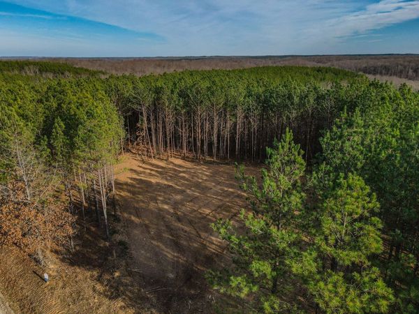 0 Brush Creek Rd, Unit 12, Hohenwald, TN 38462