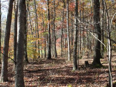 Lot 3 Cascade Ridge, Masontown, WV 26542