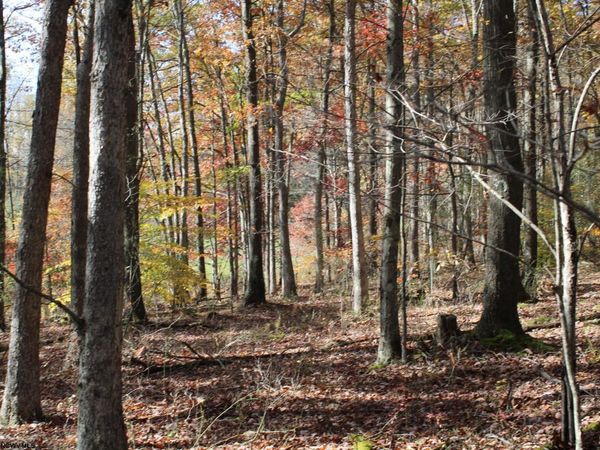 Lot 3 Cascade Ridge, Masontown, WV 26542