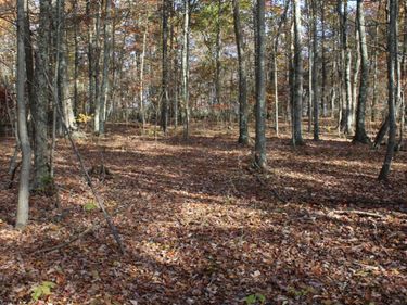 Lot 6 Cascade Ridge, Masontown, WV 26542