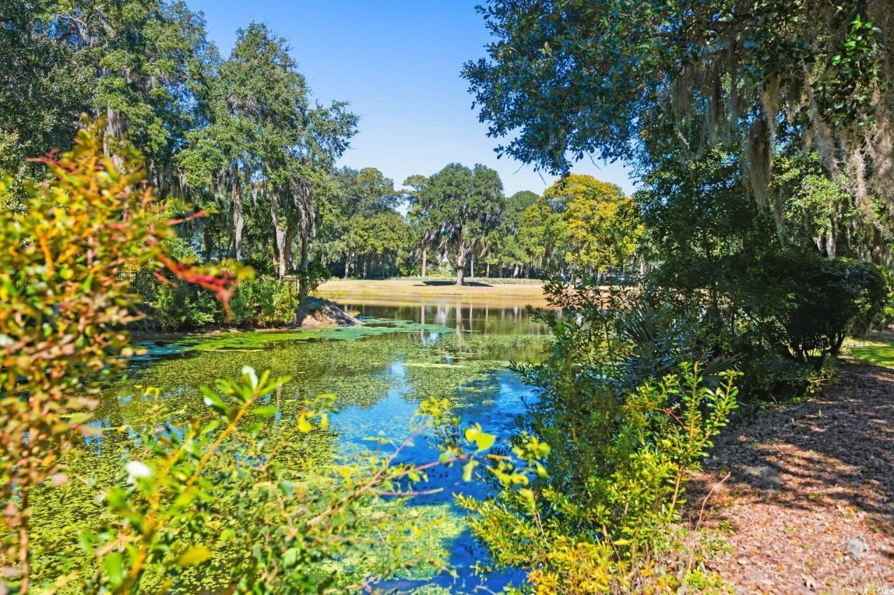 15 Pinckney Rd. Photo 32