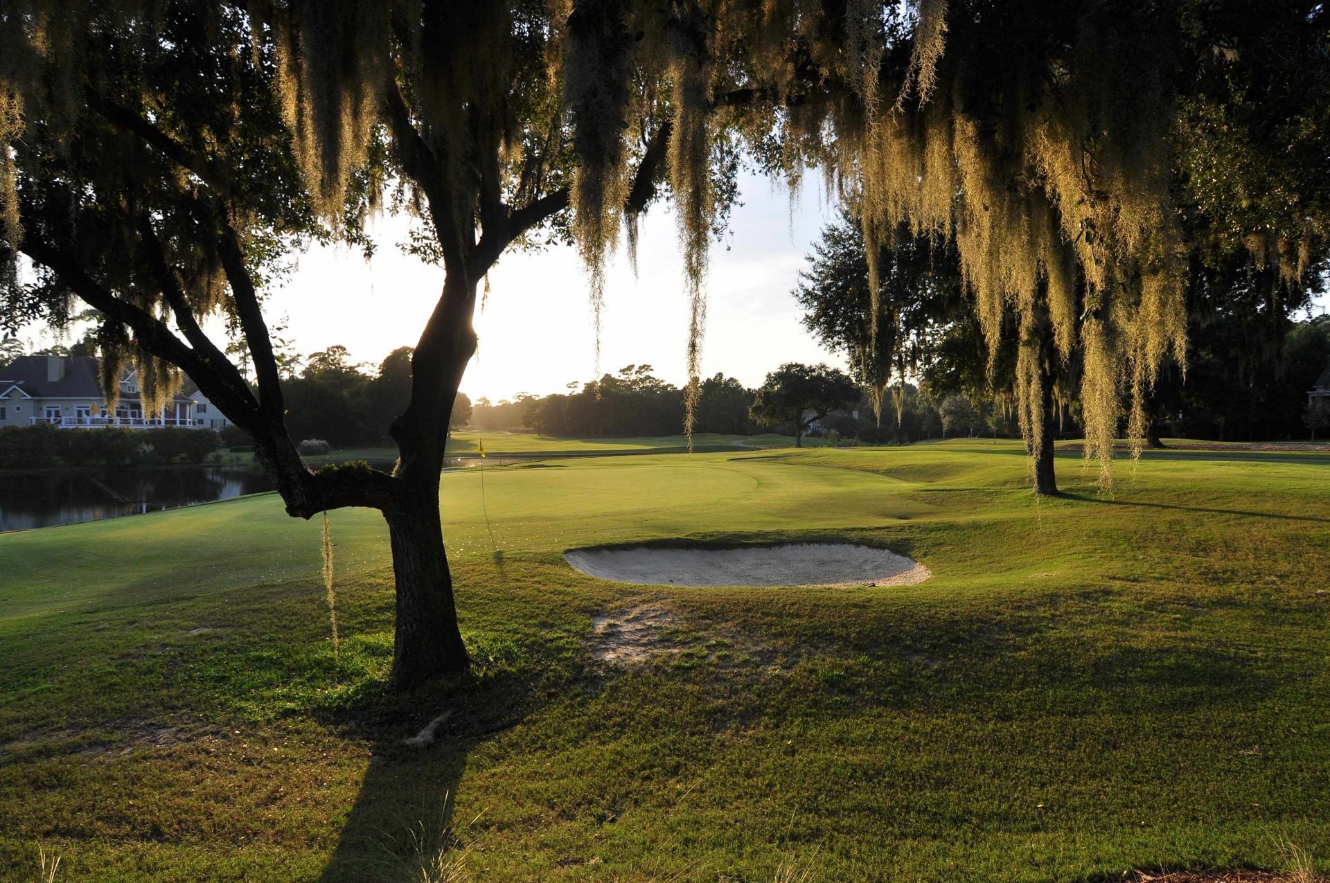 15 Pinckney Rd. Photo 44