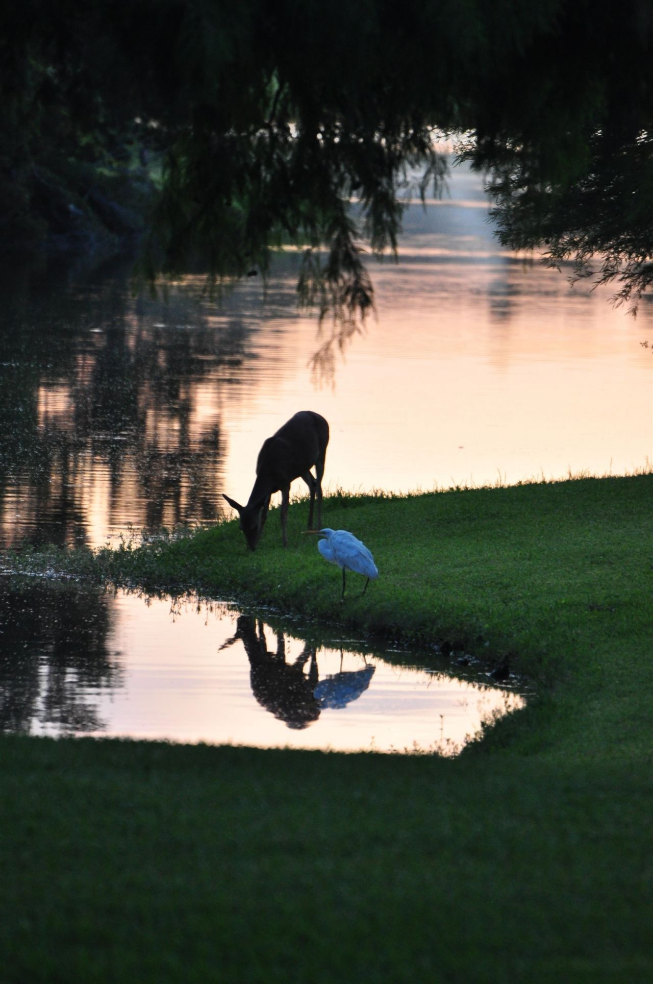 15 Pinckney Rd. Photo 45