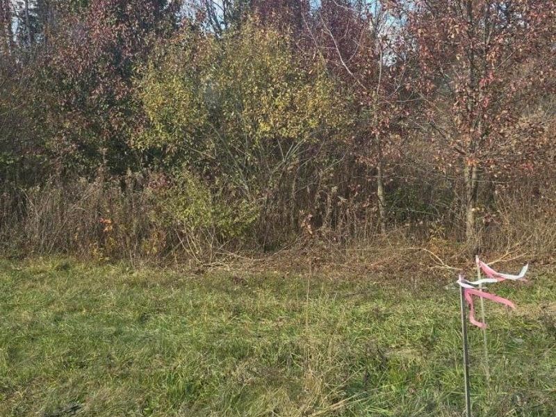 13300 E Broad Street SW, Pataskala, OH 43062 Photo 2