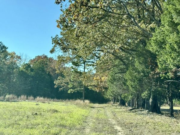 150 Holloway Lane, Greenbrier, AR 72058