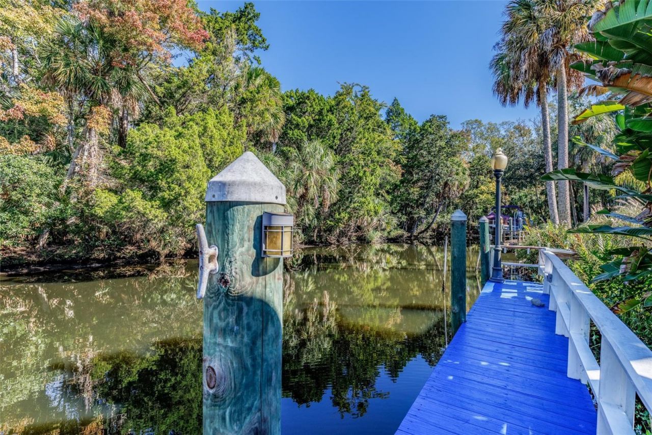 9781 W Halls River Road, Homosassa, FL 34448 Photo