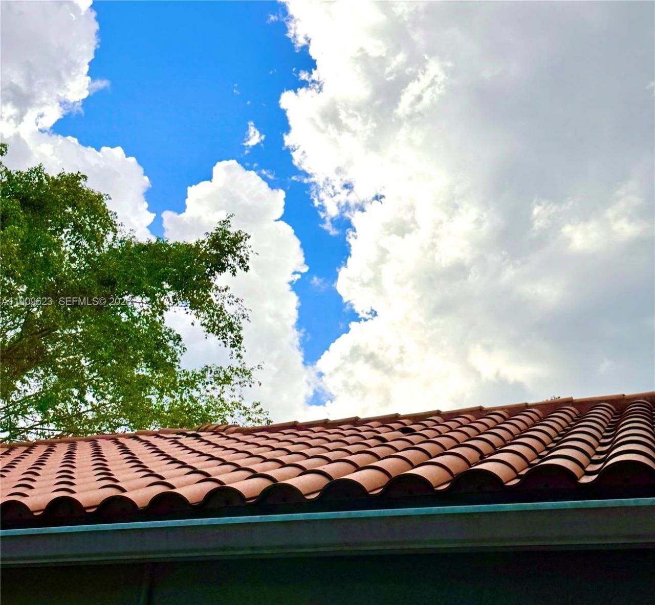 1411 Seagrape Cir, Weston, FL 33326 Photo