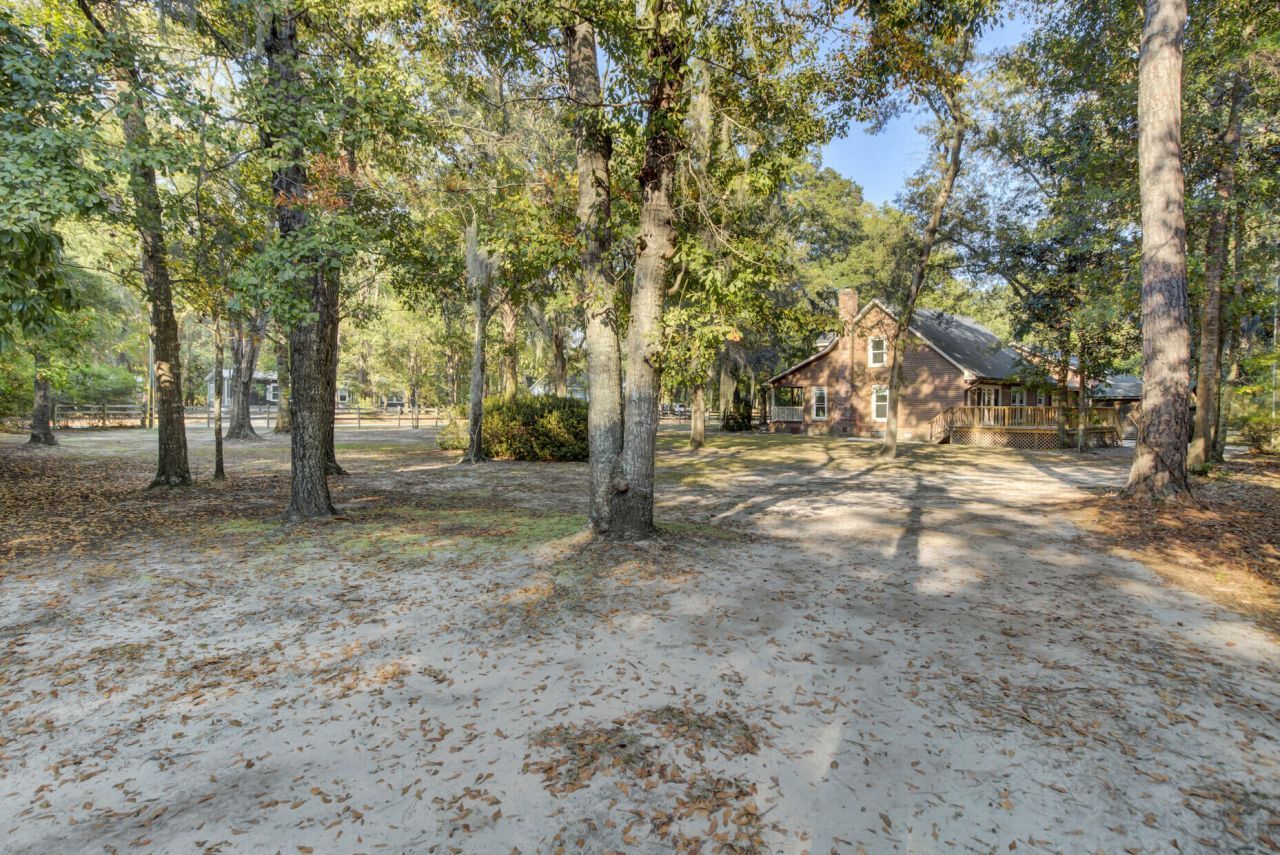 4429 Francis Younge Way Photo 63