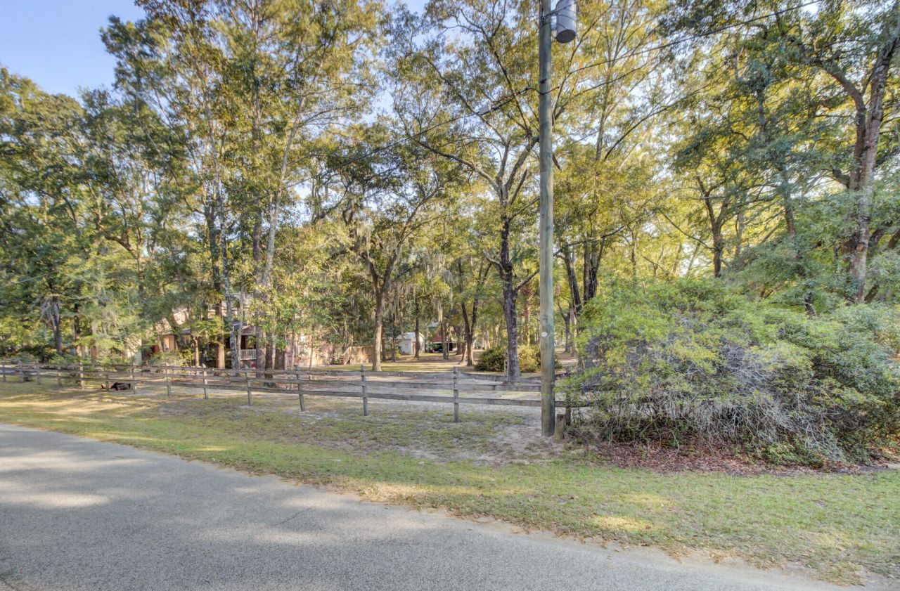 4429 Francis Younge Way Photo 68