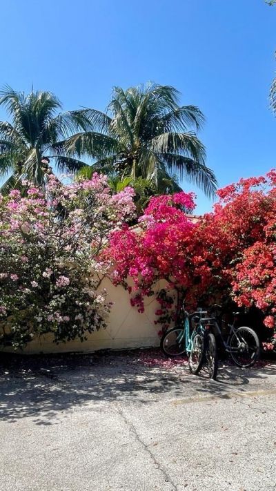 4812 Pine Tree Dr, Unit 204, Miami Beach, FL 33140 Photo