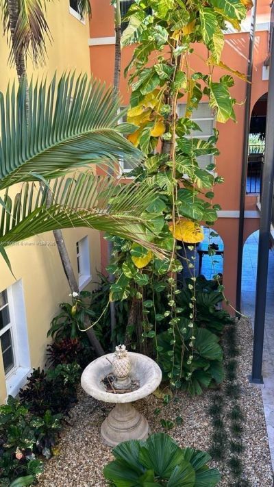 4812 Pine Tree Dr, Unit 204, Miami Beach, FL 33140 Photo