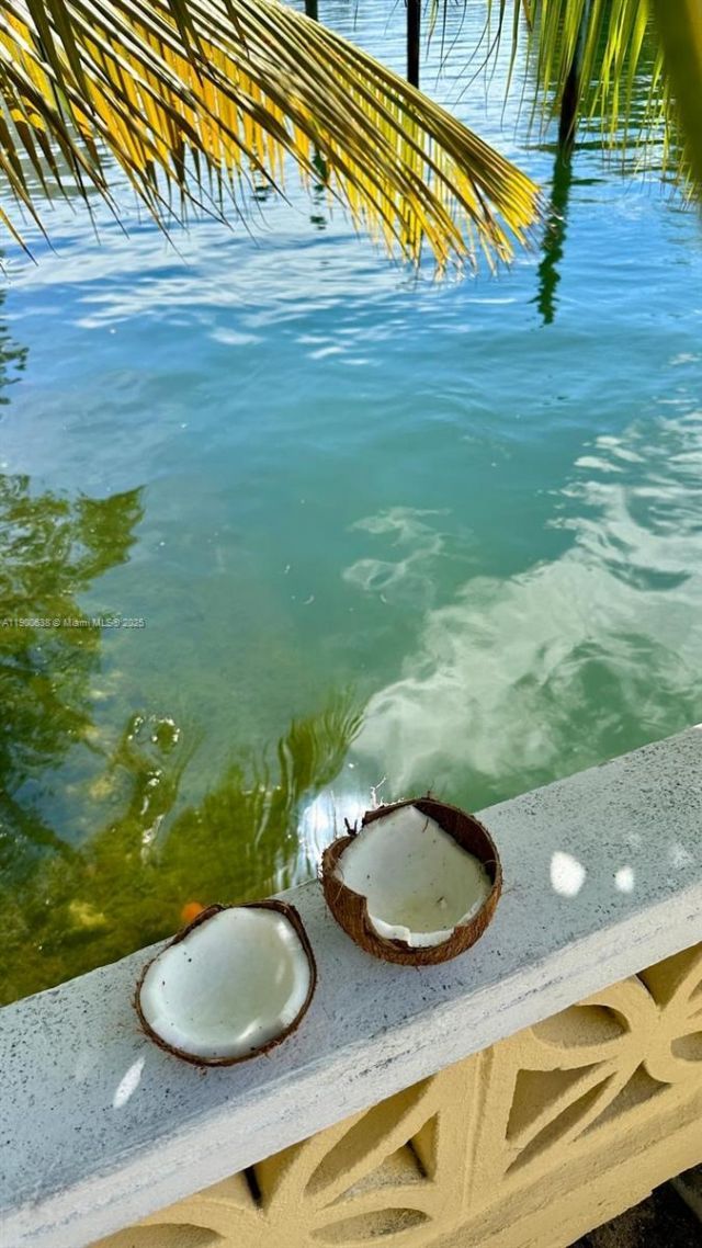 4812 Pine Tree Dr, Unit 204, Miami Beach, FL 33140 Photo