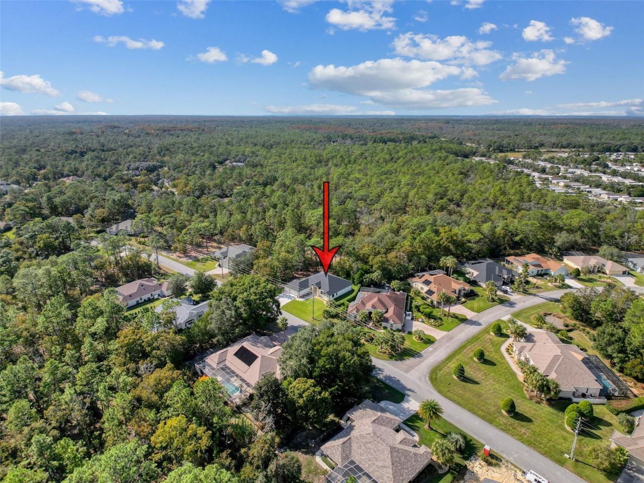 88 Daisy Street, Homosassa, FL 34446 Photo