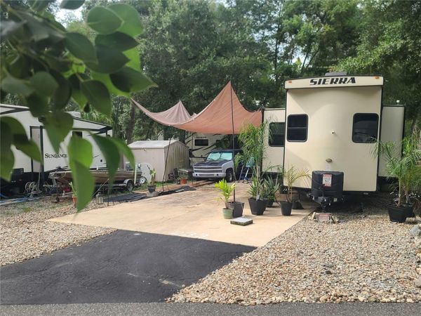 25205 NE 142 ND STREET, SALT SPRINGS, FL 32134