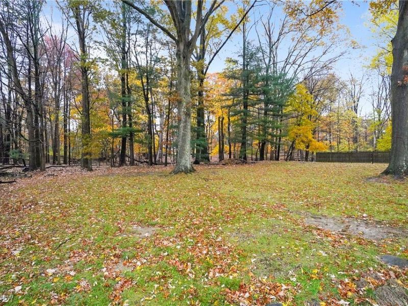 36 Hilltop Boulevard, Canfield, OH 44406 Photo 30