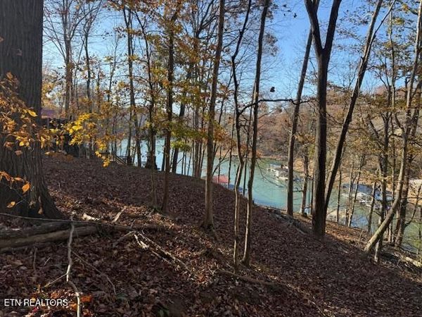 Deer Run Place, LaFollette, TN 37766