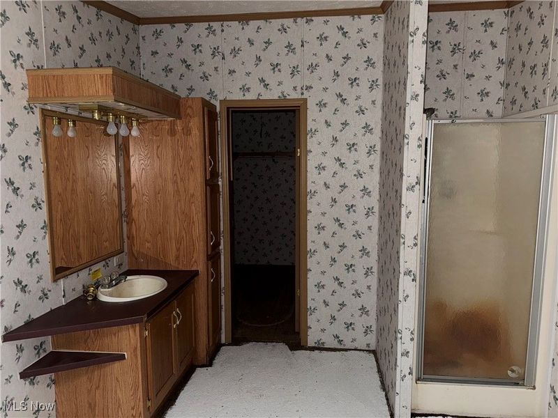 3690 Anderson Anthony Road, Leavittsburg, OH 44430 Photo 12