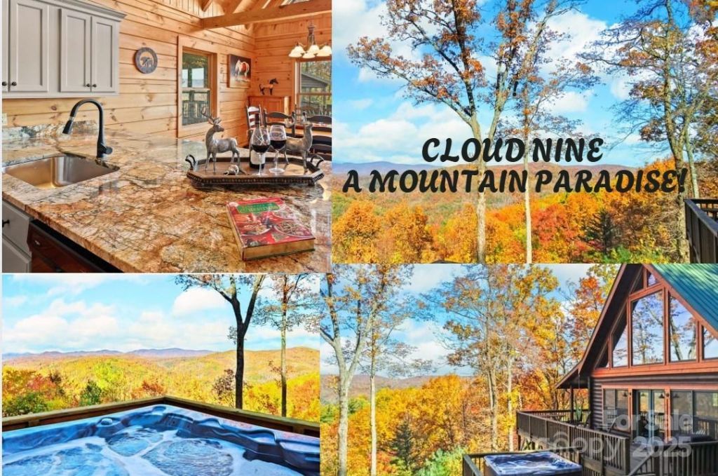 305 Fox Cove Road, Ferguson, NC 28624 Main Photo