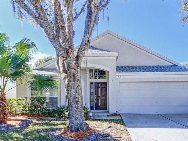 29806 MORNINGMIST DRIVE, WESLEY CHAPEL, FL 33543