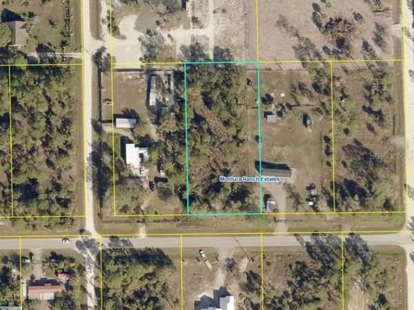 557 AVENIDA DEL SUR, CLEWISTON, FL 33440