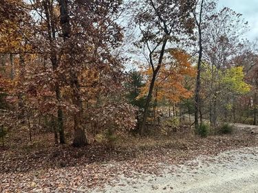 Henry Acres Road, Lincoln, MO 65338