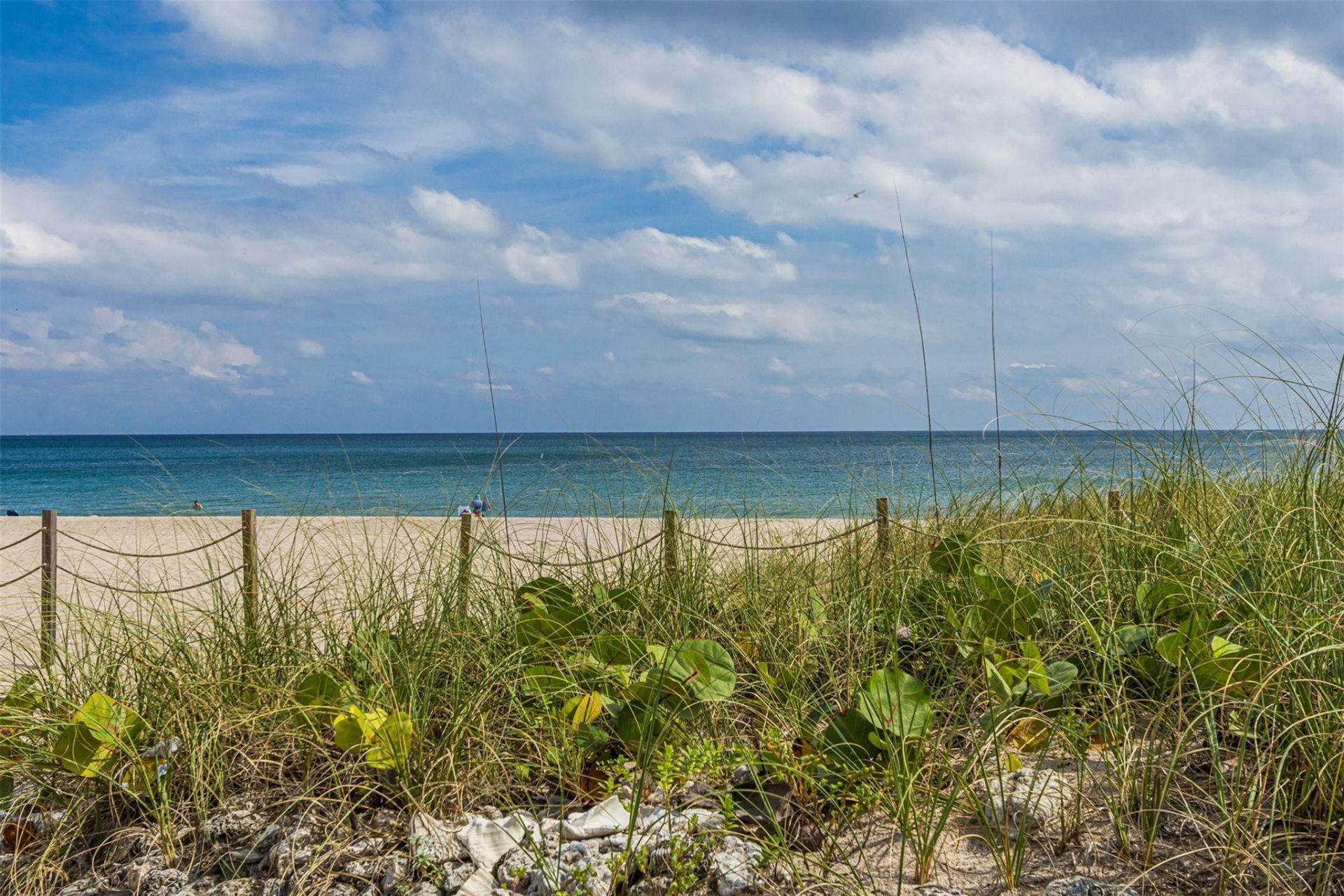 401 Briny Avenue, Unit 708, Pompano Beach, FL 33062 Photo