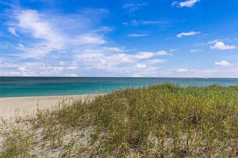 401 Briny Ave, Unit 708, Pompano Beach, FL 33062 Photo