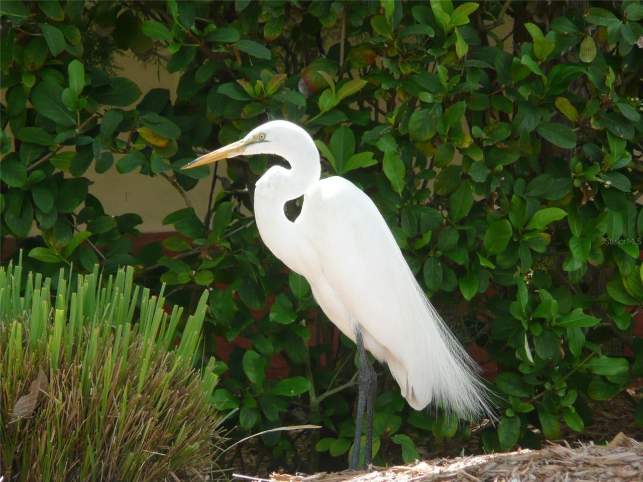 51 S Adams Drive, Sarasota, FL 34236 Photo