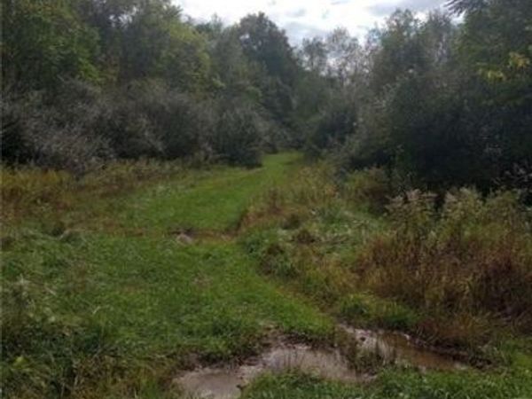 Lot 1 Hope Hollow Rd, Lake Lynn, PA 15451