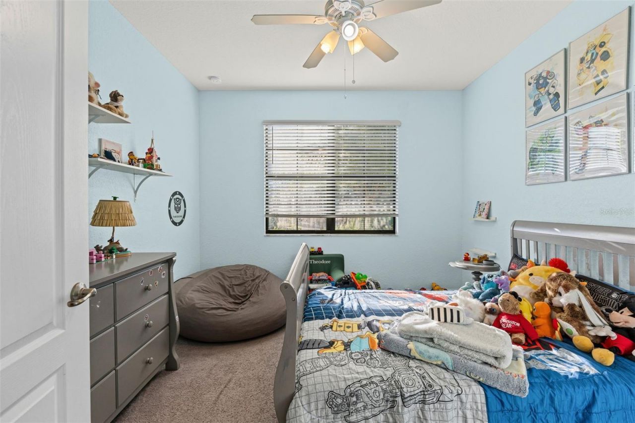 17221 Blue Ridge Place, Lakewood Ranch, FL 34211 Photo