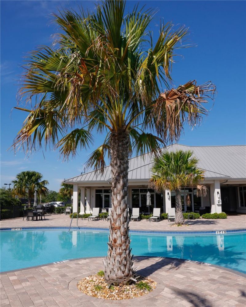 17221 Blue Ridge Place, Lakewood Ranch, FL 34211 Photo