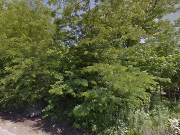 904 Elk Street, Dermott, AR 71638