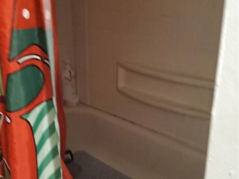 2167 W 96th Street, Cleveland, OH 44102 Photo 9