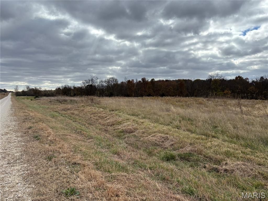 0 Hwy 61 West Outer Road, Frankford, MO 63441 Main Photo