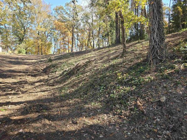 Lot 3 Fleetwood Dr, Muscle Shoals, AL