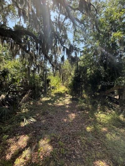 17918 NE Us Highway 301, Waldo, FL 32694 Photo