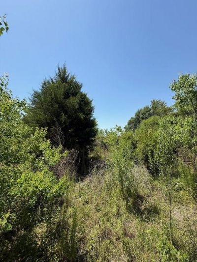 17918 NE Us Highway 301, Waldo, FL 32694 Photo