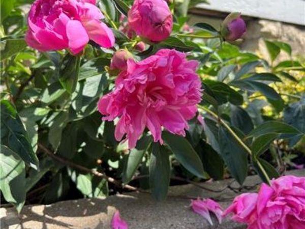 4033 WARWICK Boulevard, Kansas City, MO 64111