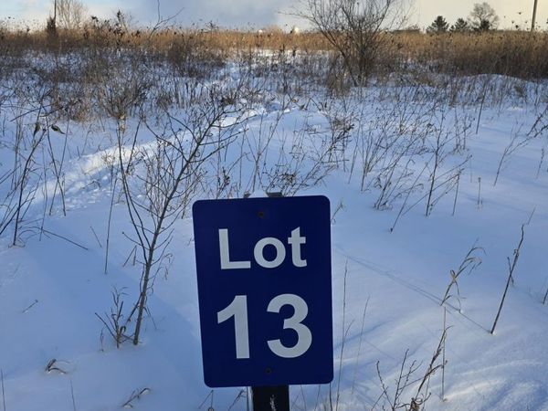 859 Greystone Drive, Unit 13, Chelsea, MI 48118