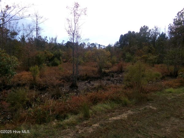 Lot 44964 Big Island Road, White Oak, NC 28399