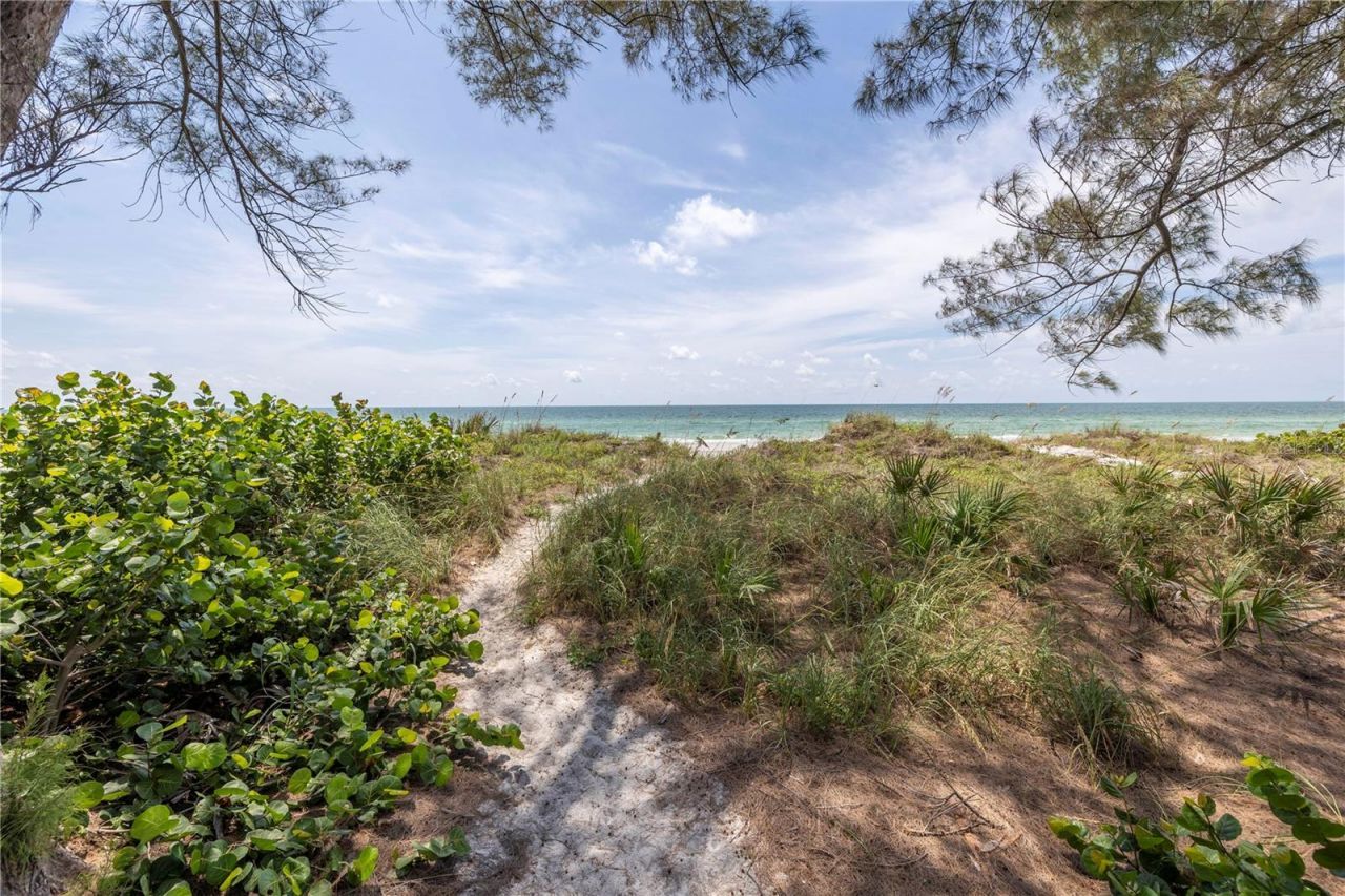 516 Gulf Boulevard, Indian Rocks Beach, FL 33785 Photo