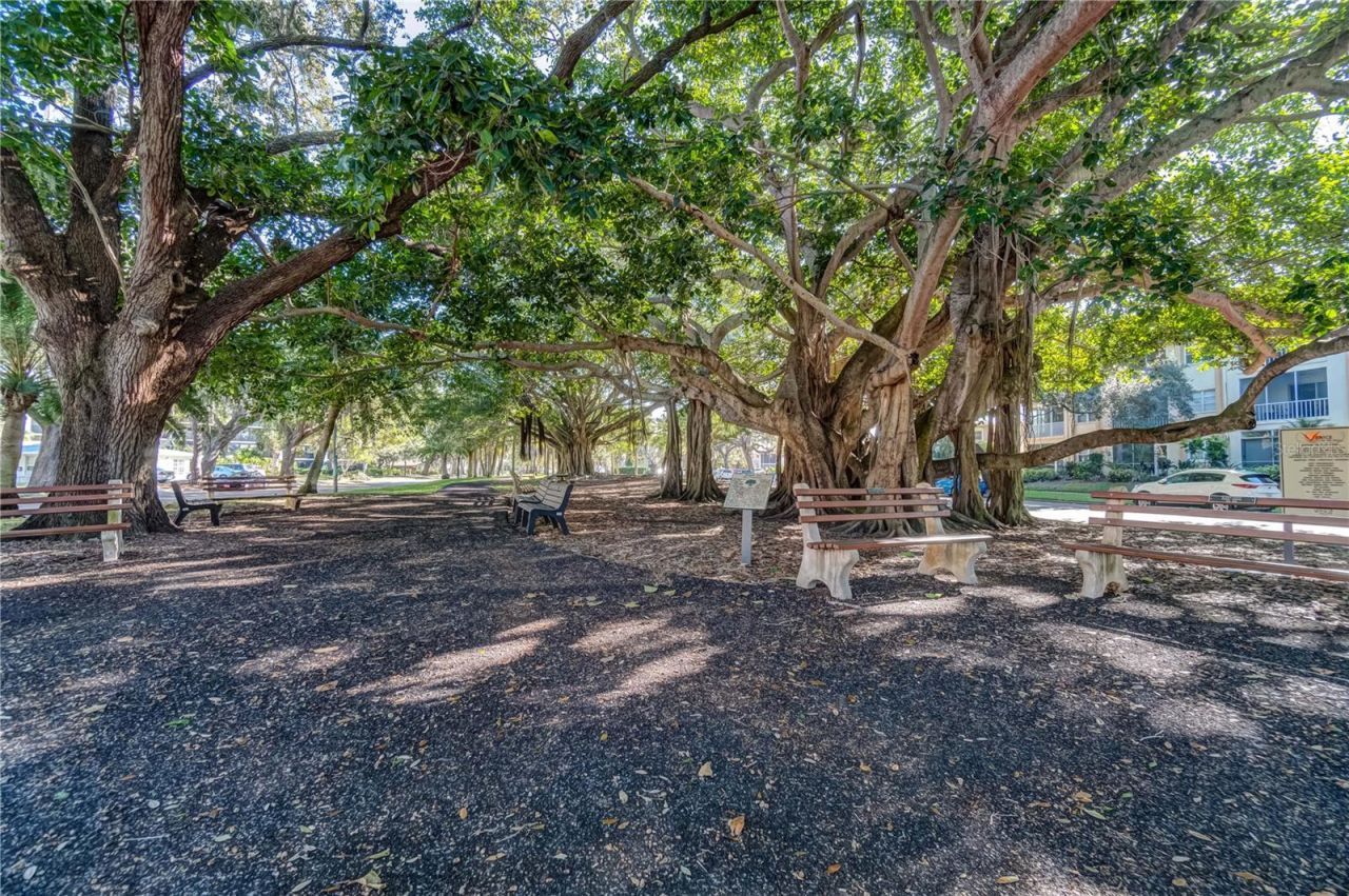 269 Southampton Drive, Unit 303, Venice, FL 34293 Photo