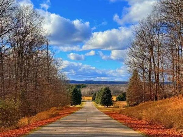 10 Mount Vernon Hills Drive, Vanderbilt, MI 49795