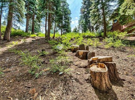 12005 Skislope Way, Truckee, CA 96161 Photo