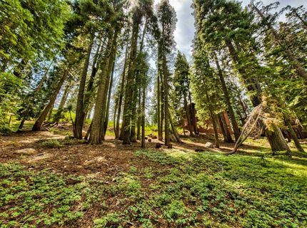 12005 Skislope Way, Truckee, CA 96161 Photo