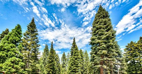 12005 Skislope Way, Truckee, CA 96161 Photo